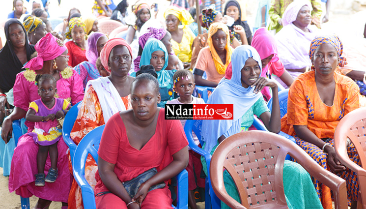 MEDINA : l’excellence éducative, le crédo de la jeunesse (vidéo) MEDINA : l’excellence éducative, le crédo de la jeunesse (vidéo)