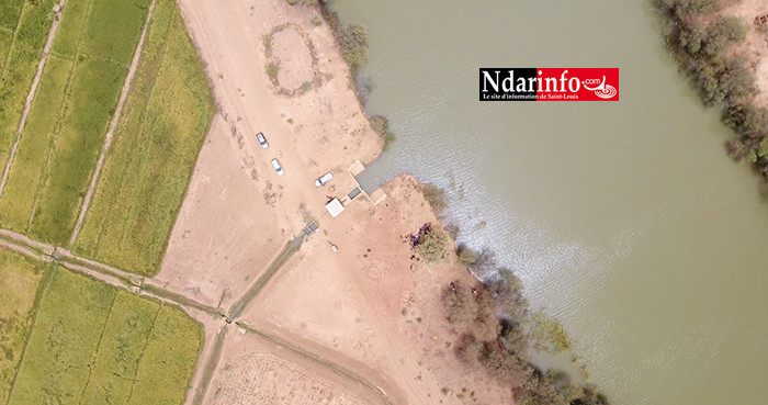 RIZICULTURE : 330 ha aménagements de la KOICA boostent le secteur à PODOR ( vidéo ) RIZICULTURE : 330 ha aménagements de la KOICA boostent le secteur à PODOR ( vidéo )