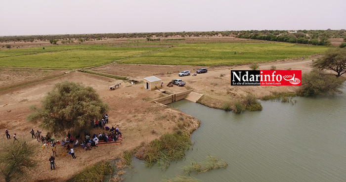 RIZICULTURE : 330 ha aménagements de la KOICA boostent le secteur à PODOR ( vidéo ) RIZICULTURE : 330 ha aménagements de la KOICA boostent le secteur à PODOR ( vidéo )