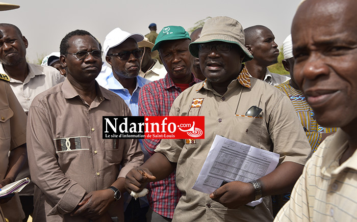 Tournée dans le WALO : Alioune Aidara NIANG  satisfait de « l’implication des privés » et de « l’augmentation du rendement à l’hectare »