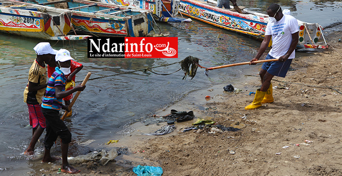 Décès de Mawa SENE : À Guet-Ndar, une autre sentinelle de la propreté s’en est allée, ce matin. Décès de Mawa SENE : À Guet-Ndar, une autre sentinelle de la propreté s’en est allée, ce matin.