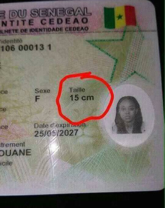 Insolites cartes biométriques : Aminata GUEYE a la photo d’un homme, l’autre mesure 15 cm