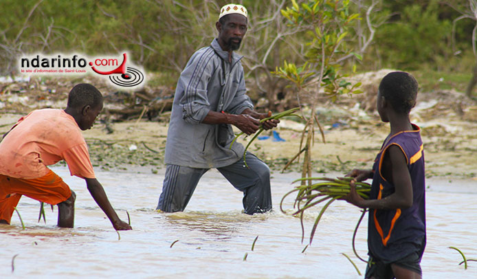 Saint-Louis : plaidoyer pour une prise de "conscience collective" face aux changements climatiques Saint-Louis : plaidoyer pour une prise de "conscience collective" face aux changements climatiques