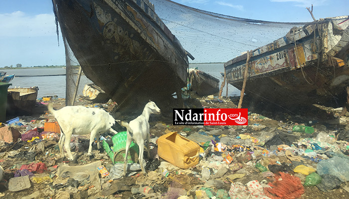 GOXU MBACC : catastrophiques, les berges (photos)