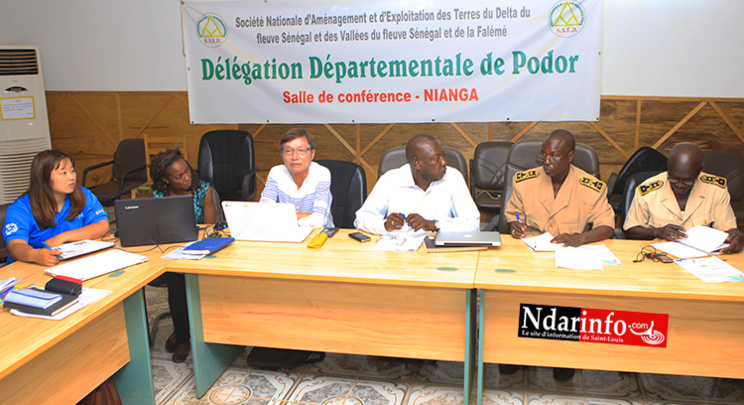 Développement de la chaine de valeur de Riz : la KOICA booste les perspectives culturales à Podor (vidéo)