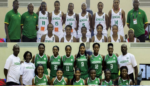 Afrobasket Féminin : Le duel s'annonce tendu entre les D'Tigers du Nigeria et les Lionnes du Sénégal