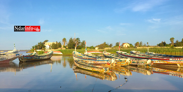 GOXU MBACC : Mansour FAYE nettoie les berges (photos)