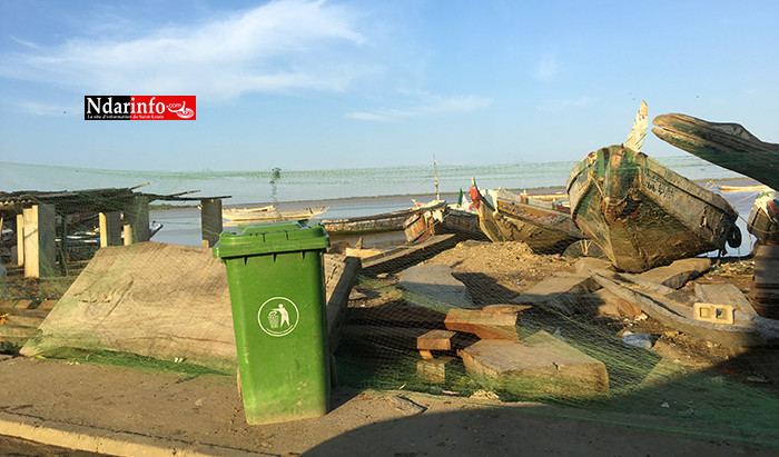GOXU MBACC : Mansour FAYE nettoie les berges (photos) GOXU MBACC : Mansour FAYE nettoie les berges (photos)
