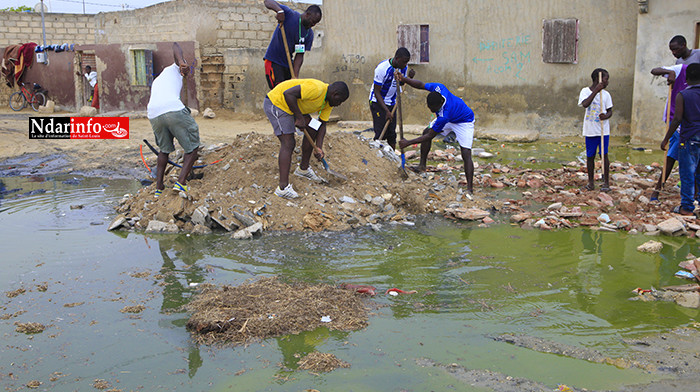 Lutte contre les inondations : Amadou NIANG au chevet des populations de Pikine Bas-Sénégal (vidéo)