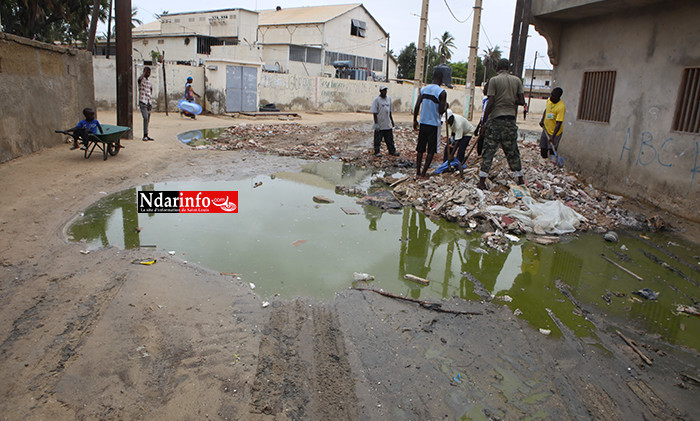 Lutte contre les inondations : Amadou NIANG au chevet des populations de Pikine Bas-Sénégal (vidéo)