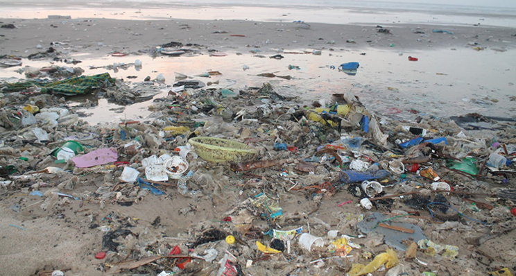 Source photo : Ornithondar Source photo : Ornithondar