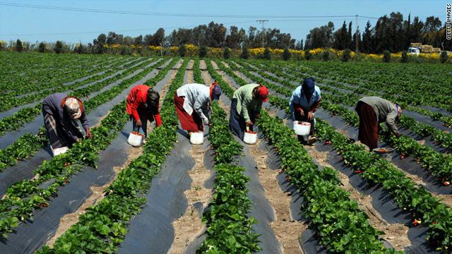 Regard sur l’expérience du Programme des domaines agricoles communautaires au Sénégal