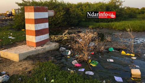 Ce canal empeste le quartier de LÉONA (vidéo) Ce canal empeste le quartier de LÉONA (vidéo)