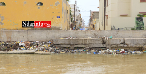 ORDURES : catastrophiques, les berges de Sindoné ( photos )