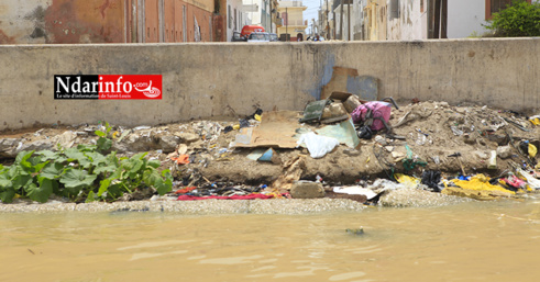 ORDURES : catastrophiques, les berges de Sindoné ( photos )