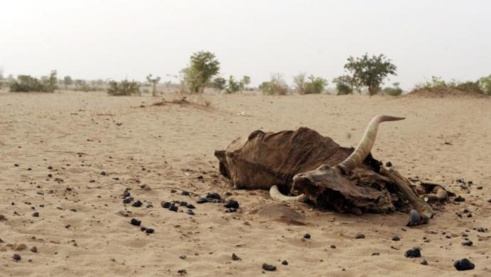 Rareté de l’eau potable à Niassanté dans le Dagana : La population frustrée lance un appel à Macky Sall