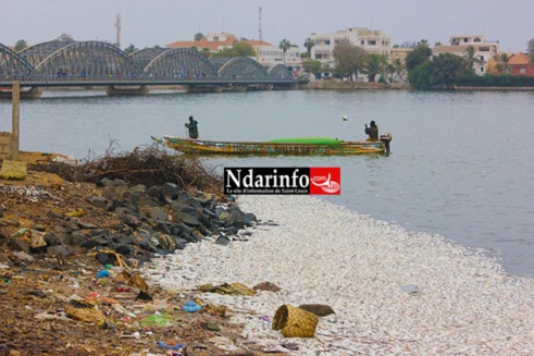 Gestion durables des ressources marines : un acteur appelle à un changement de comportement Gestion durables des ressources marines : un acteur appelle à un changement de comportement