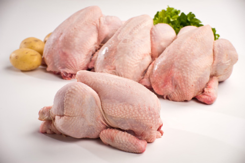 Le Sénégal ne lèvera pas l’interdiction d’importation de viande de volailles (ministre)