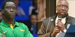 Basket : « Adidas » et Cheikh Sarr nommés sélectionneurs des équipes nationales Basket : « Adidas » et Cheikh Sarr nommés sélectionneurs des équipes nationales