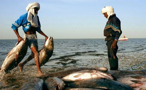 Les pêcheurs sénégalais appelés à respecter la souveraineté mauritanienne sur ses ressources Les pêcheurs sénégalais appelés à respecter la souveraineté mauritanienne sur ses ressources