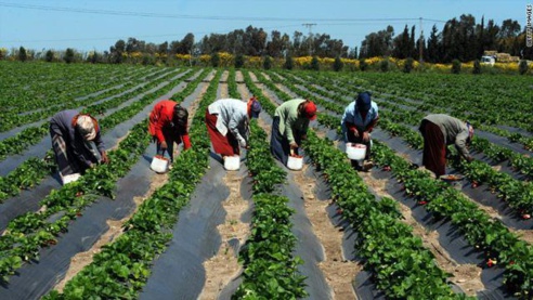 L’USAID alerte sur la menace d’une crise alimentaire au Sénégal.