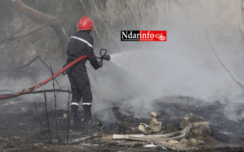 Violent incendie à DAROU : des abeilles attaquent, les sapeurs ripostent ( vidéo&photos )