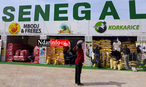 FIDAK 2017 : la SAED accompagne les riziers du Nord (photos) FIDAK 2017 : la SAED accompagne les riziers du Nord (photos)