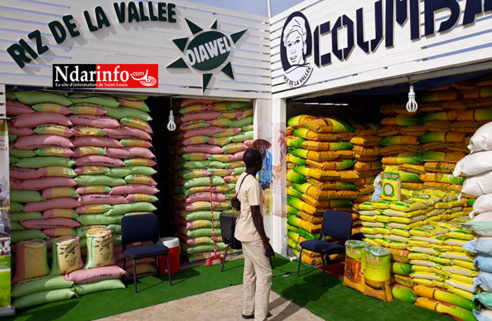 FIDAK 2017 : la SAED accompagne les riziers du Nord (photos) FIDAK 2017 : la SAED accompagne les riziers du Nord (photos)