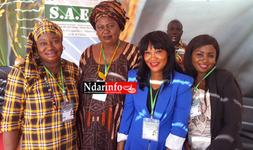 FIDAK 2017 : la SAED accompagne les riziers du Nord (photos) FIDAK 2017 : la SAED accompagne les riziers du Nord (photos)