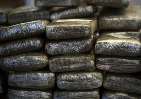 Toubacouta : la Douane saisit 474 kg de chanvre indien