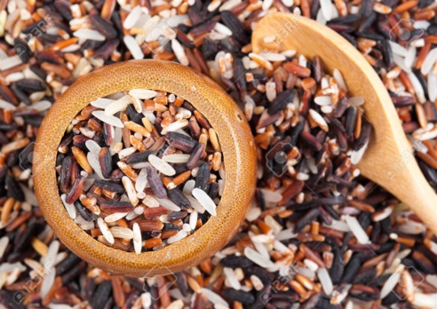 Recherche agricole : L’Isra homologue 15 nouvelles variétés de riz Recherche agricole : L’Isra homologue 15 nouvelles variétés de riz