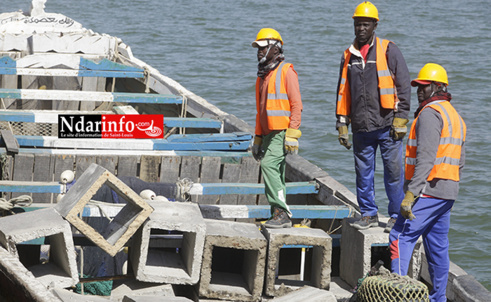 Saint-Louis : 410 blocs de récifs artificiels immergés dans l’Aire Marine Protégée (vidéo) Saint-Louis : 410 blocs de récifs artificiels immergés dans l’Aire Marine Protégée (vidéo)