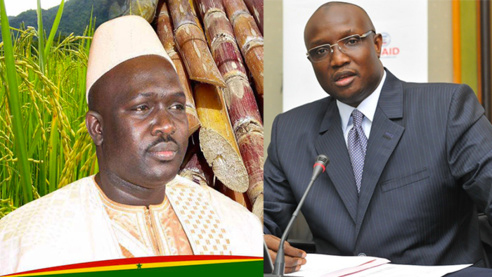 DIAWAR : le WALO prie pour ses deux fils DIAWAR : le WALO prie pour ses deux fils