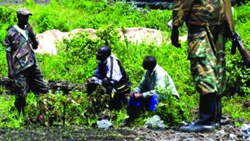 Boffa - un blessé retrace le film du massacre : " Nous avions le ventre à terre. Et, ils ont commencé à nous arroser des balles ... "