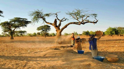 Sénégal : des femmes devenues autonomes grâce à l'agriculture Sénégal : des femmes devenues autonomes grâce à l'agriculture