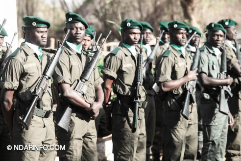 ÉCOLOGIE : Dénombrement des Oiseaux d’Eau du Parc du DJOUDJ (Images exclusives) ÉCOLOGIE : Dénombrement des Oiseaux d’Eau du Parc du DJOUDJ (Images exclusives)