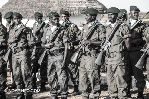 ÉCOLOGIE : Dénombrement des Oiseaux d’Eau du Parc du DJOUDJ (Images exclusives) ÉCOLOGIE : Dénombrement des Oiseaux d’Eau du Parc du DJOUDJ (Images exclusives)