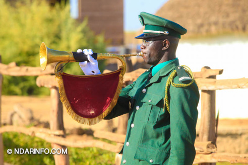 ÉCOLOGIE : Dénombrement des Oiseaux d’Eau du Parc du DJOUDJ (Images exclusives) ÉCOLOGIE : Dénombrement des Oiseaux d’Eau du Parc du DJOUDJ (Images exclusives)