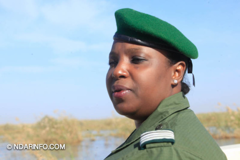 ÉCOLOGIE : Dénombrement des Oiseaux d’Eau du Parc du DJOUDJ (Images exclusives) ÉCOLOGIE : Dénombrement des Oiseaux d’Eau du Parc du DJOUDJ (Images exclusives)