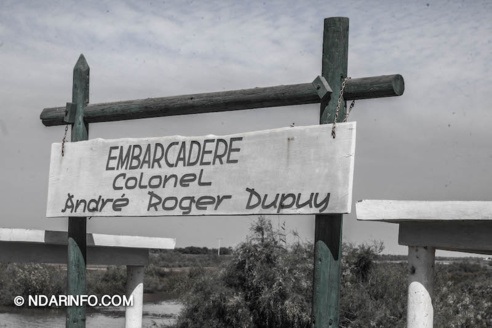 ÉCOLOGIE : Dénombrement des Oiseaux d’Eau du Parc du DJOUDJ (Images exclusives) 