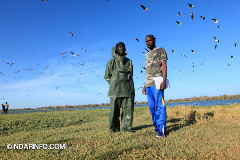 ÉCOLOGIE : À la découverte des colonies d’oiseaux qui peuplent l’îlot du PNLB (VIDÉO & PHOTOS )
