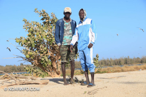 ÉCOLOGIE : À la découverte des colonies d’oiseaux qui peuplent l’îlot du PNLB (VIDÉO & PHOTOS ) ÉCOLOGIE : À la découverte des colonies d’oiseaux qui peuplent l’îlot du PNLB (VIDÉO & PHOTOS )