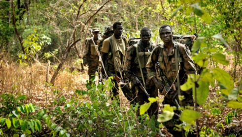 BOFFA : 16 personnes placées sous mandat de dépôt, 6 autres libérées BOFFA : 16 personnes placées sous mandat de dépôt, 6 autres libérées