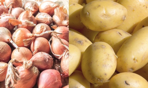 Oignon et pomme de terre : Gel des importations à partir du 25 janvier prochain