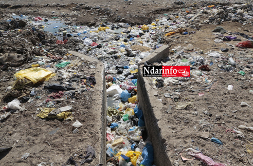 Des fosses septiques branchées sur le réseau d’évacuation d’eaux pluviales : La cause des refoulements à Pikine ( vidéo ) Des fosses septiques branchées sur le réseau d’évacuation d’eaux pluviales : La cause des refoulements à Pikine ( vidéo )