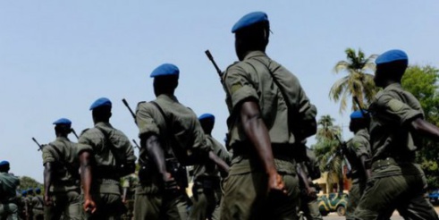 Ziguinchor : deux rebelles mis en prison, des munitions saisies et des champs de chanvre détruits