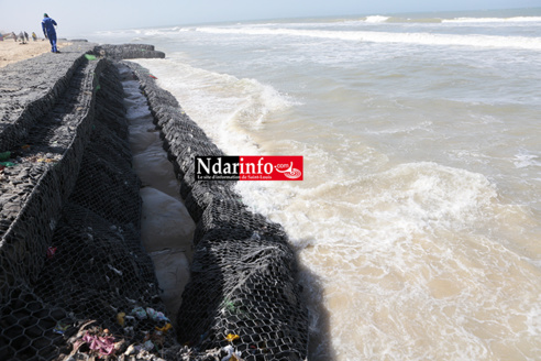 GOXU MBACC : la détérioration de la digue de protection suscite des inquiétudes (Vidéo & Photos) GOXU MBACC : la détérioration de la digue de protection suscite des inquiétudes (Vidéo & Photos)