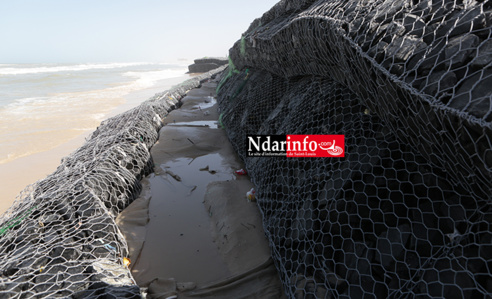 GOXU MBACC : la détérioration de la digue de protection suscite des inquiétudes (Vidéo & Photos) GOXU MBACC : la détérioration de la digue de protection suscite des inquiétudes (Vidéo & Photos)