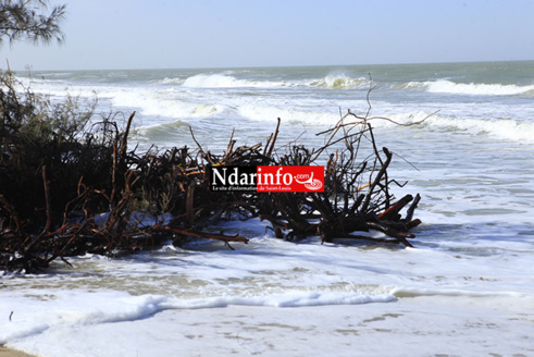GANDIOL : ouverture d’un forum sur les impacts de la brèche, ce 31 mars à Tassinère.