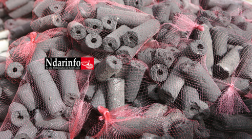 Saint-Louis : Une caravane vulgarise le charbon de Typha (vidéo) Saint-Louis : Une caravane vulgarise le charbon de Typha (vidéo)